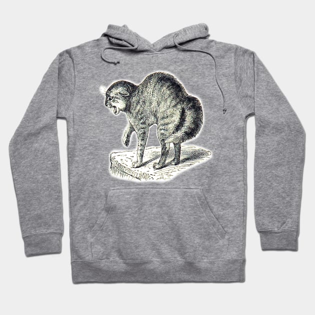 Creepy cat preparing to attack. Vintage drawing. Hoodie by Marccelus